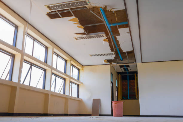 Best Local water damage restoration  in Hampton, TN