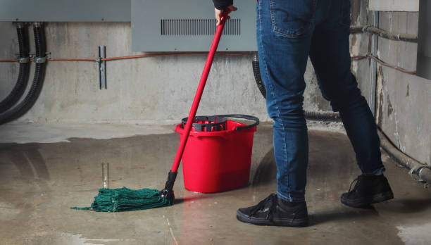 Trusted Hampton, TN Water damage restoration Experts