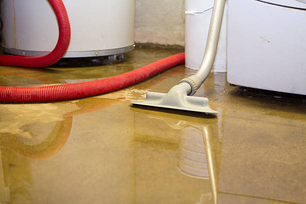 Best Water damage cleanup near me  in Hampton, TN