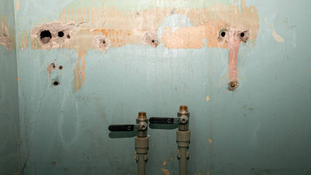 Best Sewage cleanup and water damage restoration  in Hampton, TN