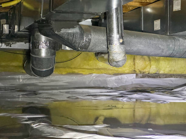 Best Flooded house restoration  in Hampton, TN