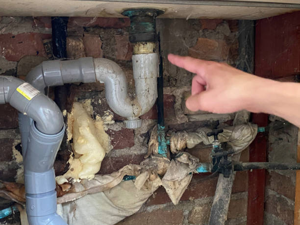 Best Water damage restoration near me  in Hampton, TN